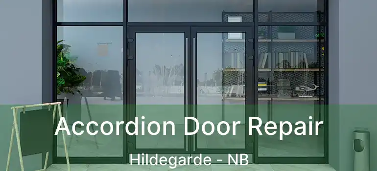 Accordion Door Repair Hildegarde - NB