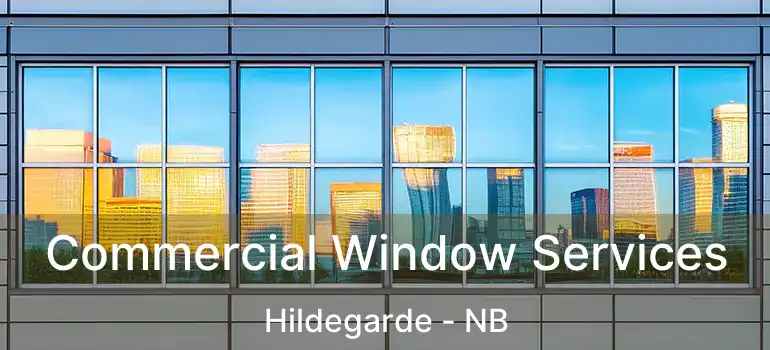  Commercial Window Services Hildegarde - NB