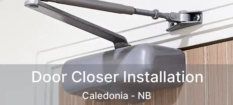 Door Closer Installation Caledonia - NB