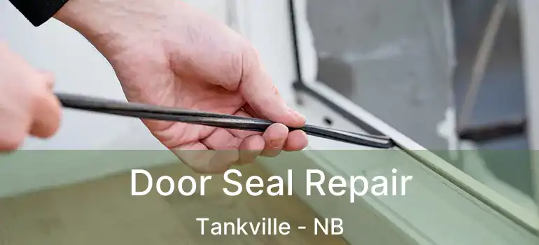 Door Seal Repair Tankville - NB