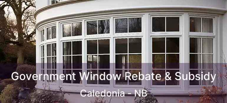 Government Window Rebate & Subsidy Caledonia - NB