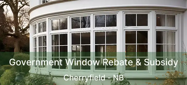  Government Window Rebate & Subsidy Cherryfield - NB