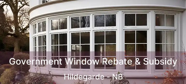  Government Window Rebate & Subsidy Hildegarde - NB