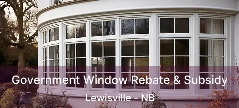  Government Window Rebate & Subsidy Lewisville - NB