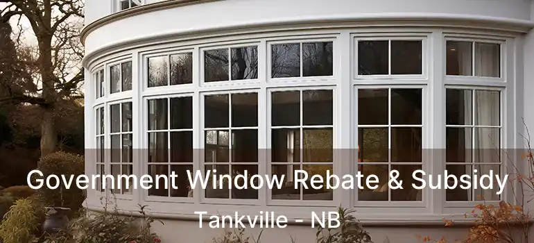  Government Window Rebate & Subsidy Tankville - NB
