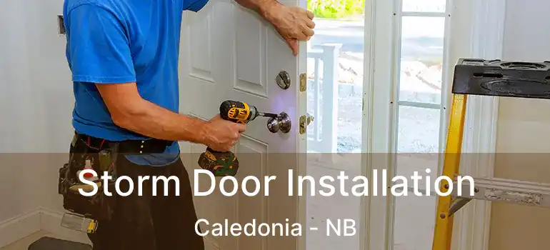  Storm Door Installation Caledonia - NB