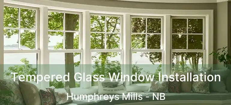  Tempered Glass Window Installation Humphreys Mills - NB