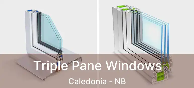 Triple Pane Windows Caledonia - NB