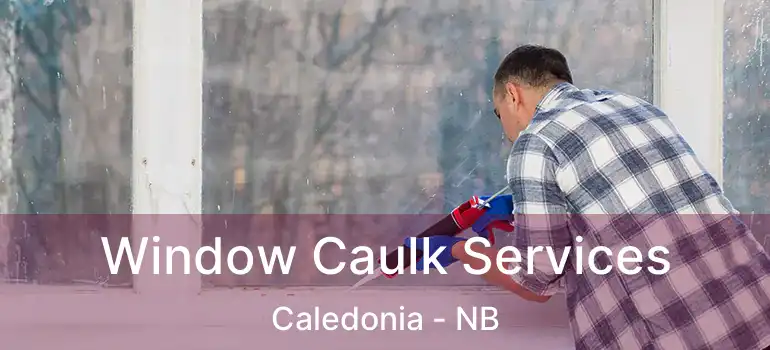 Window Caulk Services Caledonia - NB