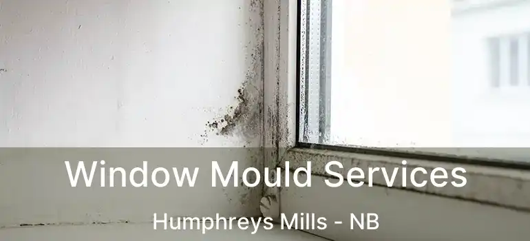 Window Mould Services Humphreys Mills - NB