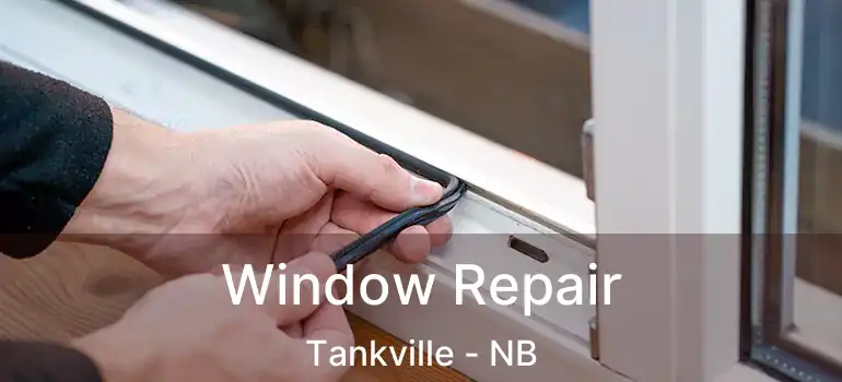  Window Repair Tankville - NB